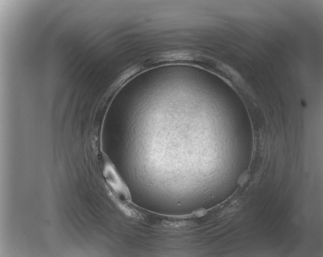 X0000080731225200612221244