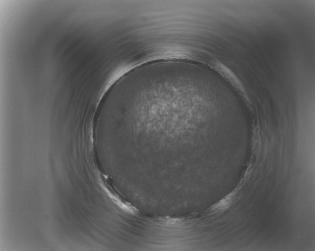 X0000080731226200612221244