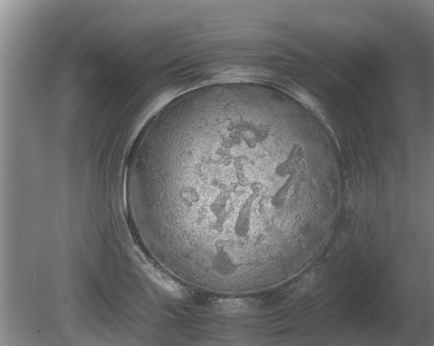 X0000080731227200612221244