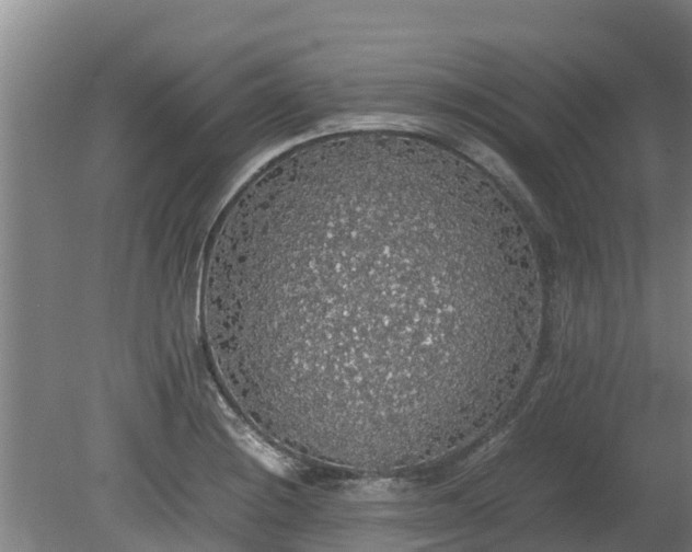 X0000080731228200612221244