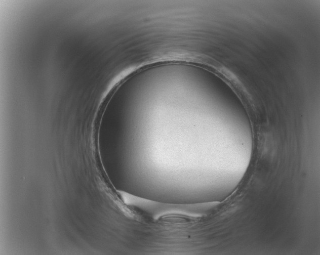 X0000080731230200612221244