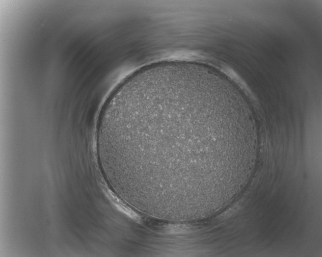 X0000080731232200612221244