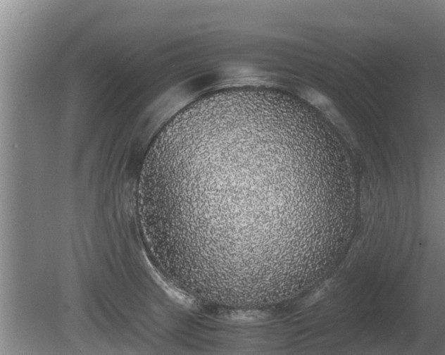 X0000080731233200612221244