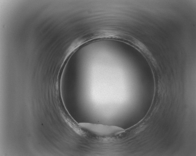 X0000080731234200612221244