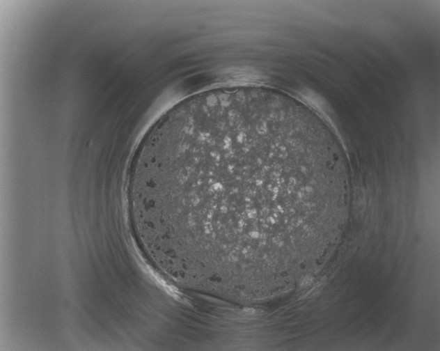 X0000080731235200612221244