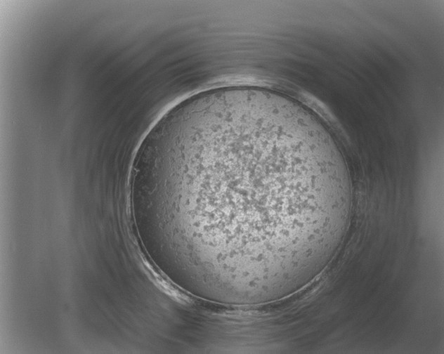 X0000080731236200612221244