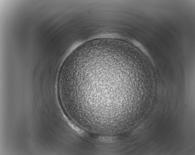 X0000080731237200612221244