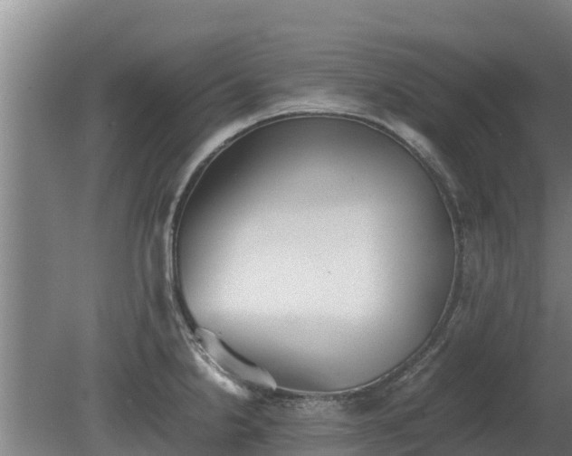 X0000080731238200612221244