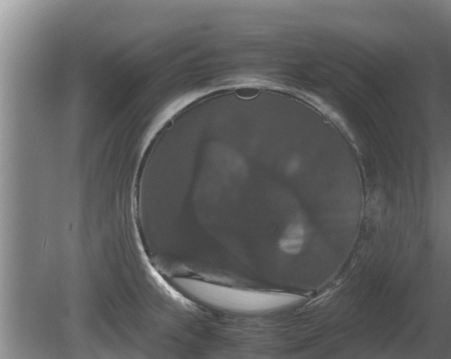 X0000080731239200612221244