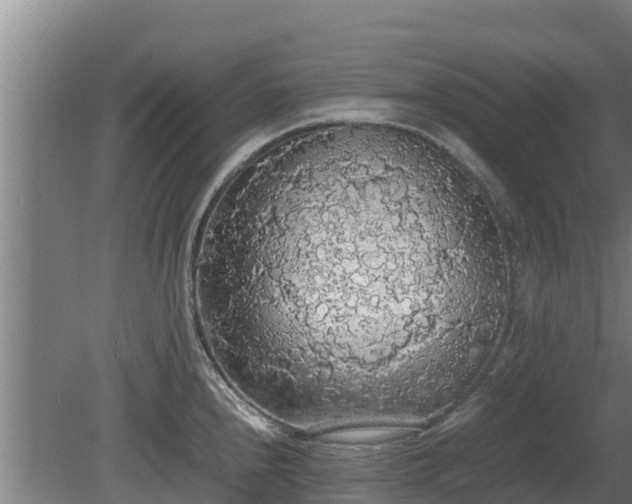 X0000080731240200612221244