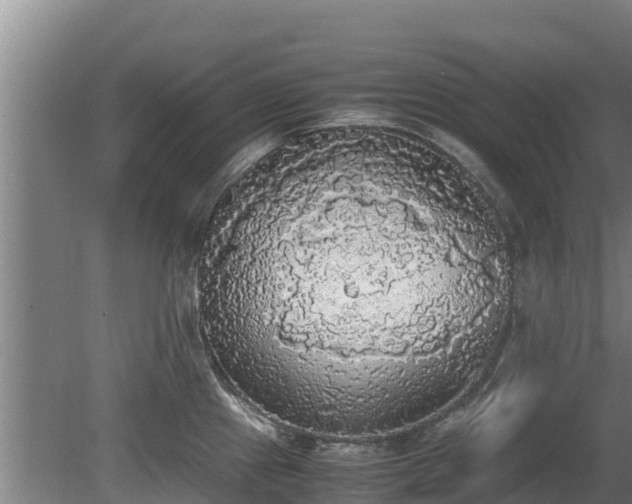 X0000080731241200612221245