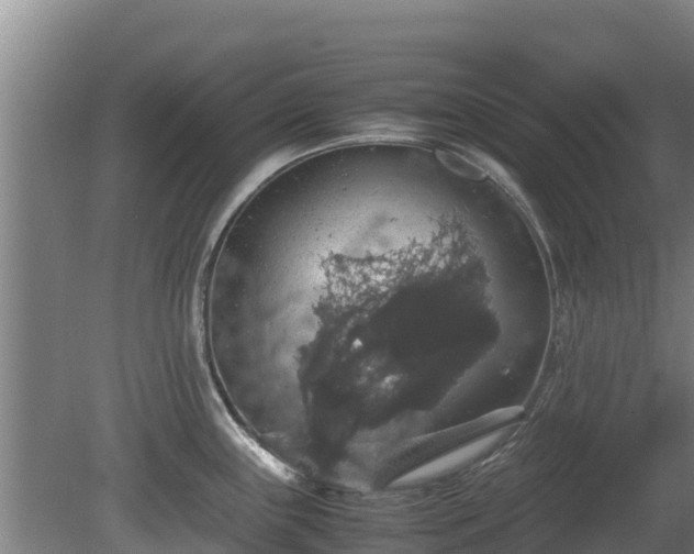 X0000080731243200612221245