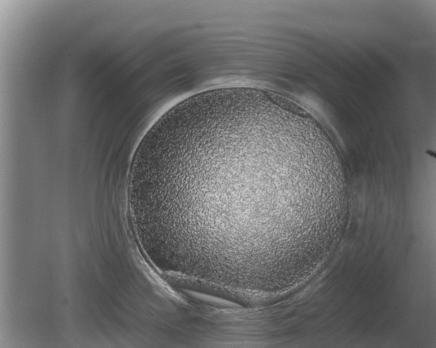 X0000080731244200612221245