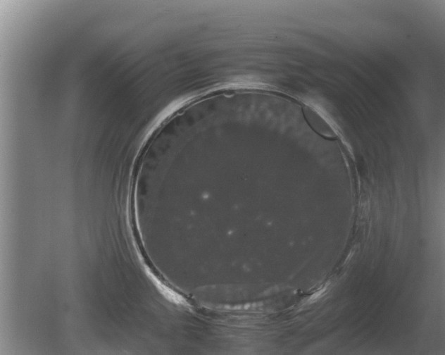 X0000080731245200612221245