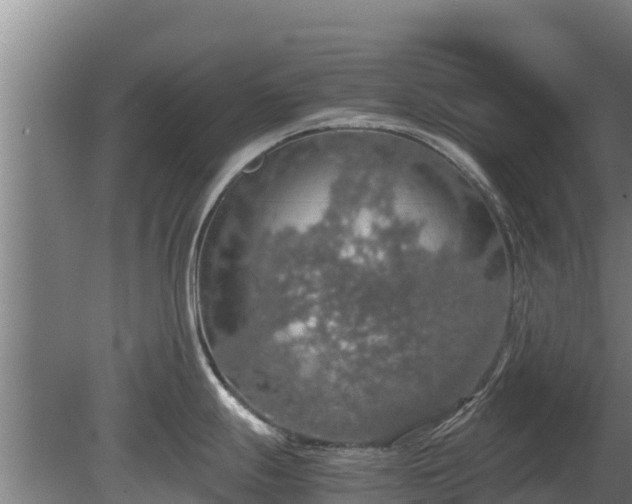 X0000080731247200612221245