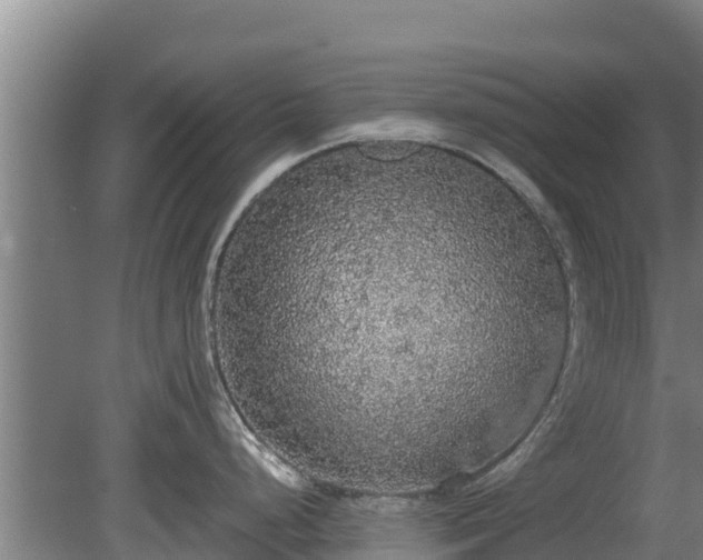 X0000080731248200612221245