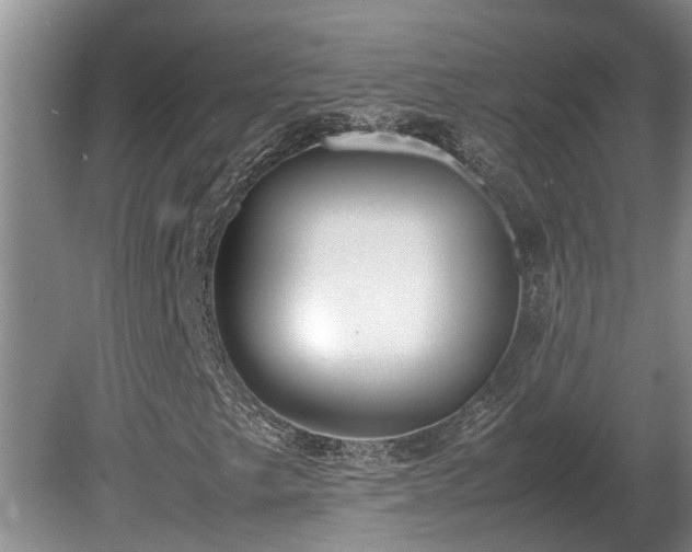 X0000080731249200612221244