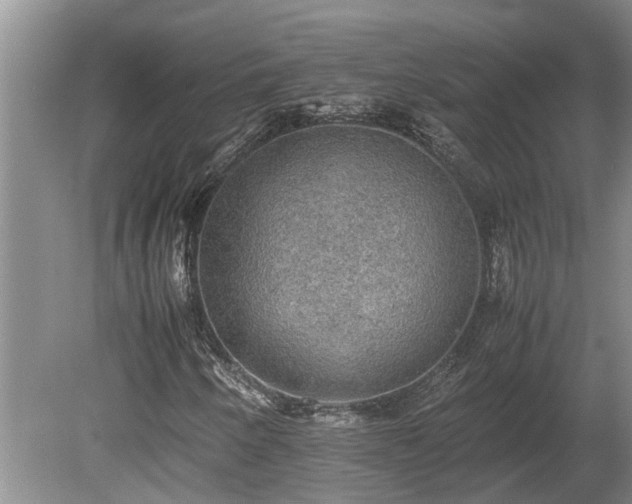 X0000080731250200612221244