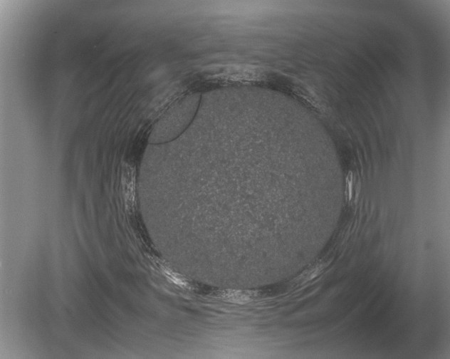 X0000080731251200612221244