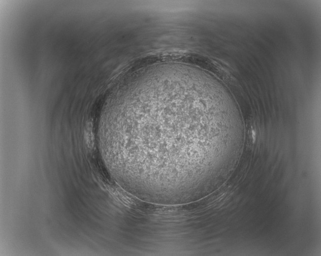 X0000080731252200612221244