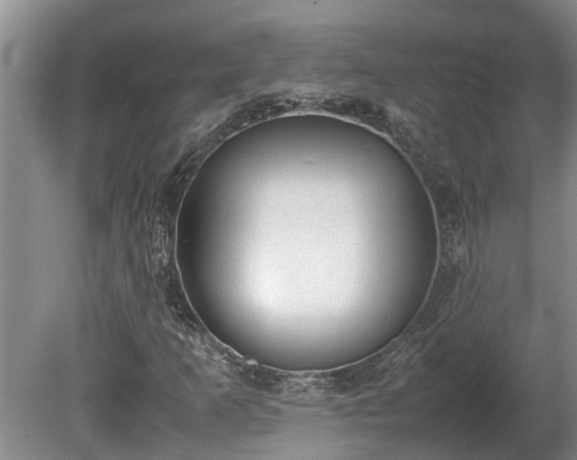 X0000080731253200612221244