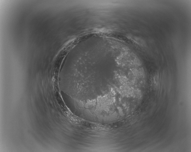 X0000080731254200612221244