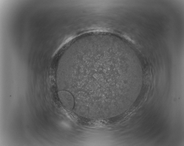 X0000080731255200612221244