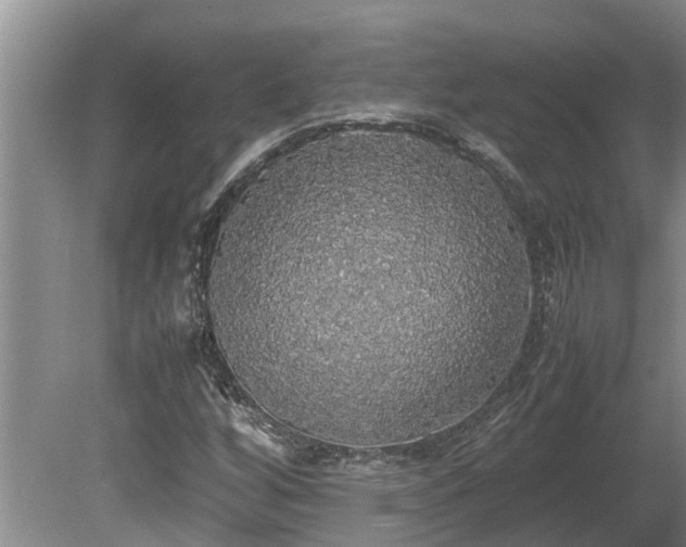 X0000080731256200612221244