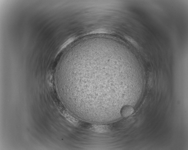 X0000080731258200612221244