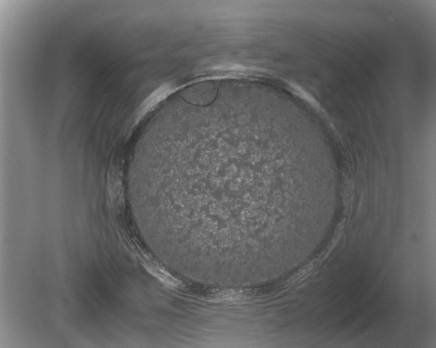 X0000080731259200612221244