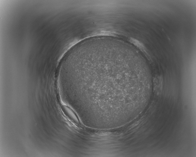 X0000080731260200612221244