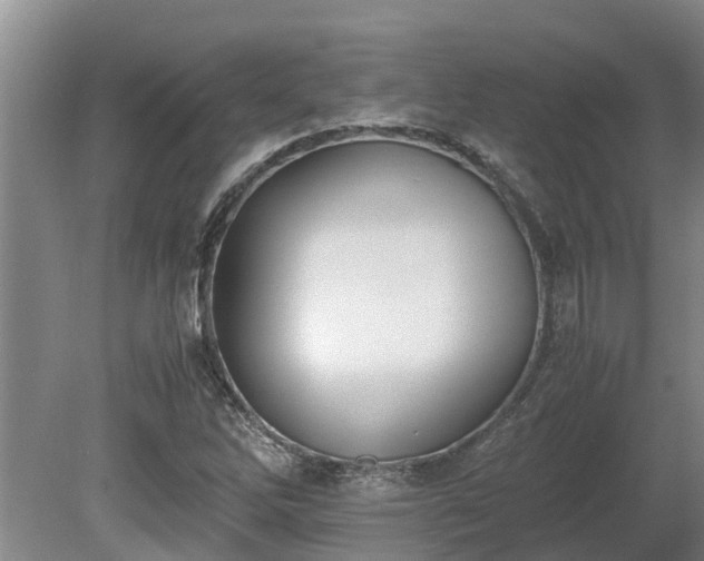 X0000080731262200612221244