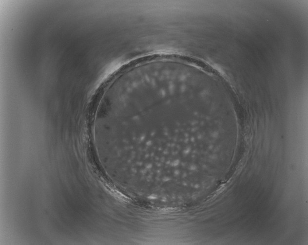 X0000080731263200612221244