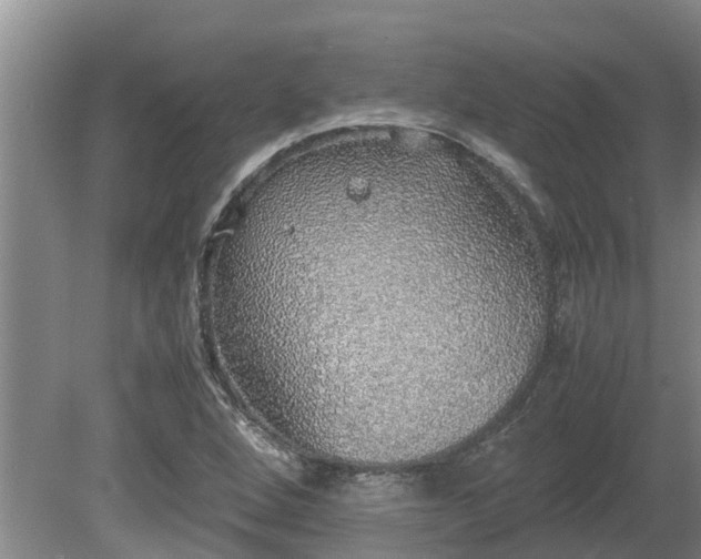 X0000080731264200612221244