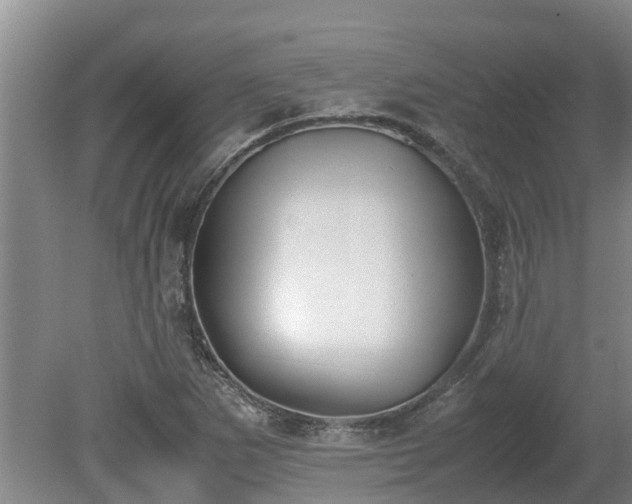 X0000080731265200612221244