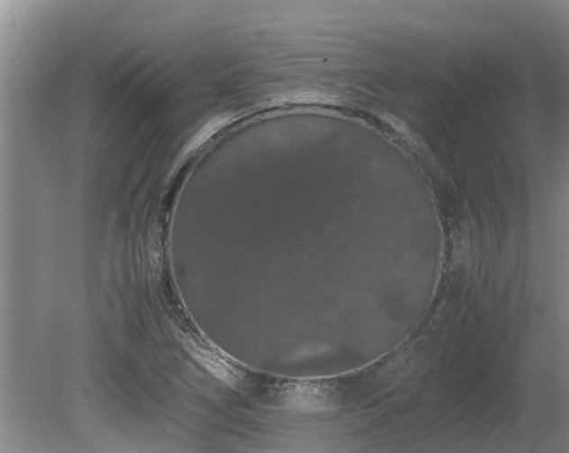 X0000080731266200612221244