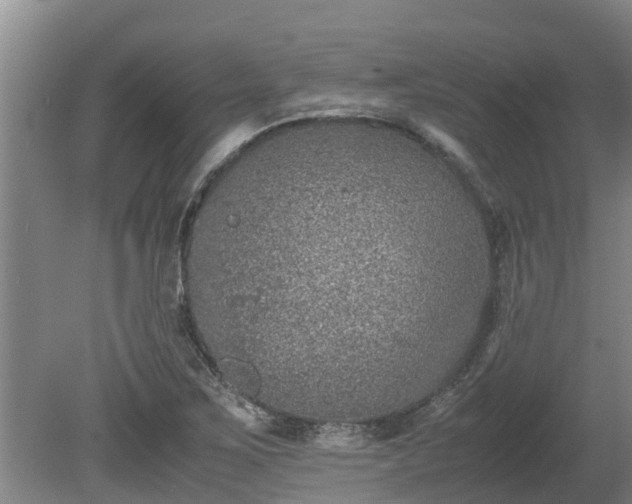 X0000080731267200612221244