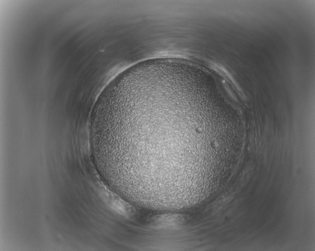 X0000080731268200612221243