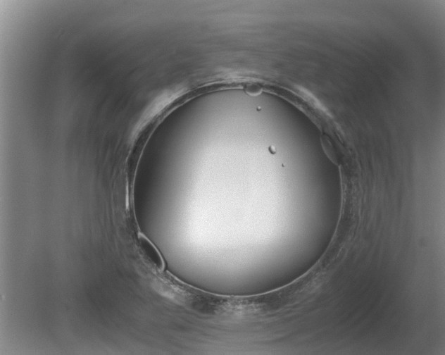 X0000080731269200612221243