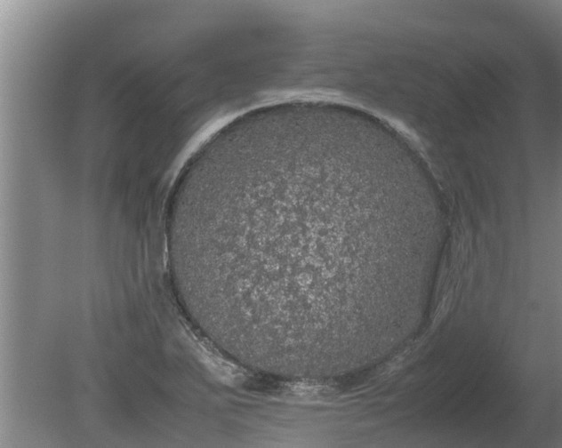 X0000080731271200612221243