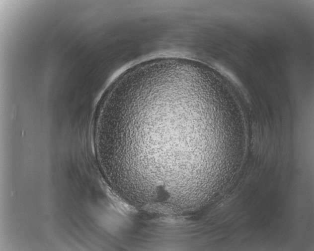 X0000080731272200612221243