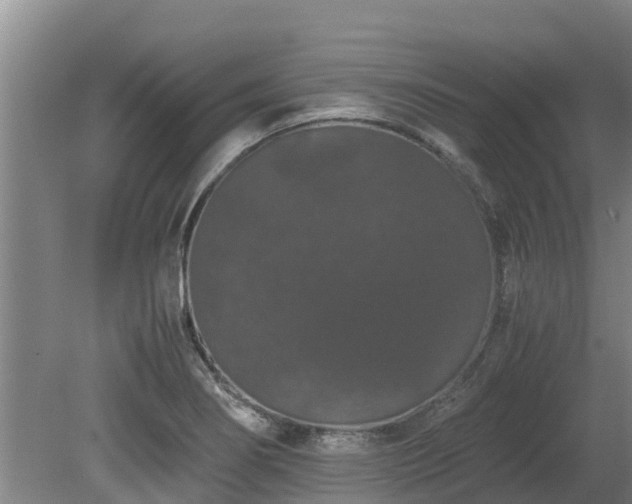 X0000080731274200612221243