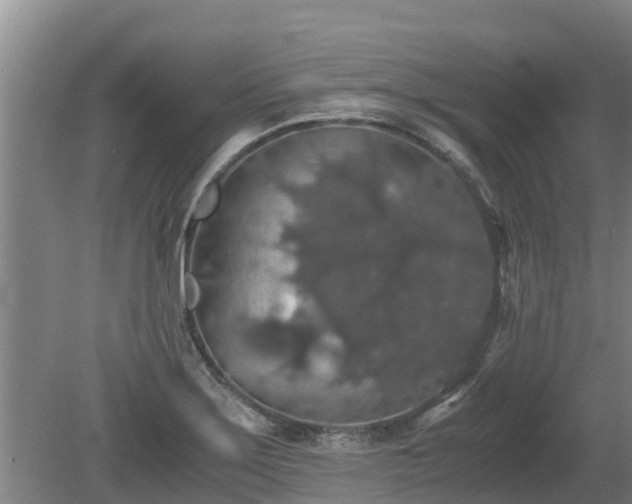 X0000080731275200612221243