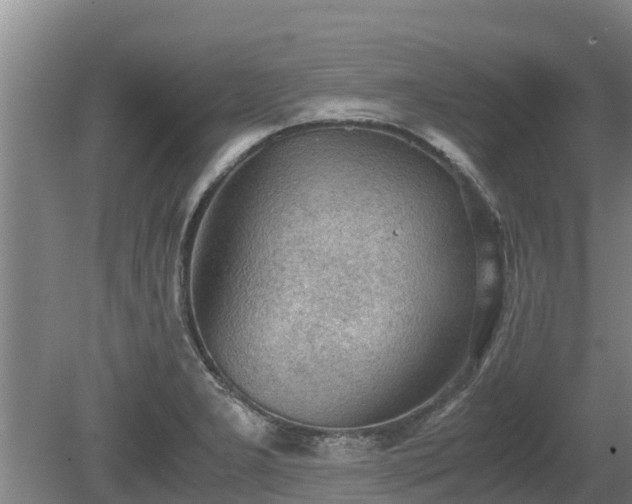 X0000080731277200612221243