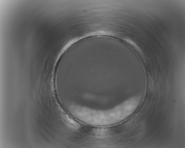 X0000080731278200612221243