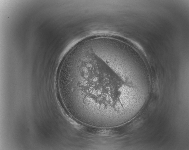 X0000080731279200612221243