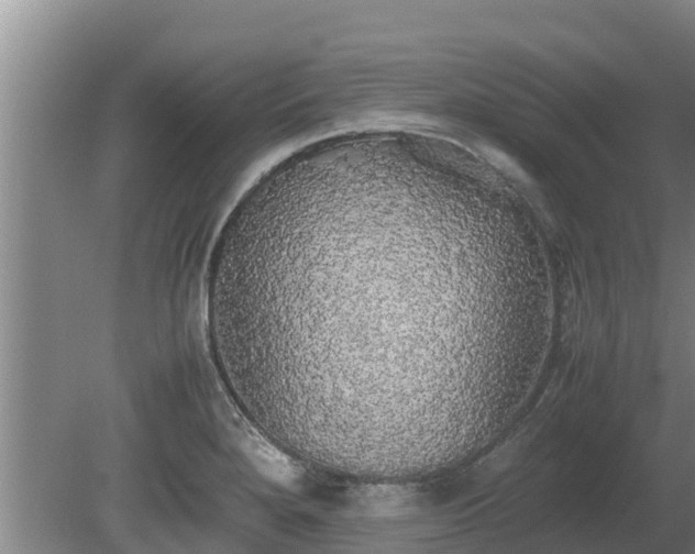 X0000080731280200612221243