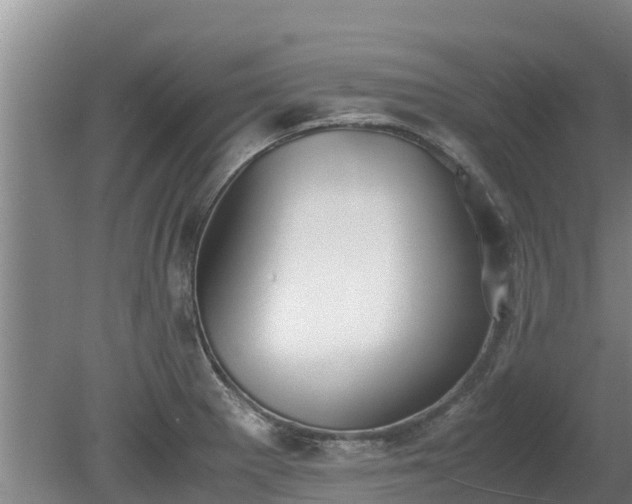 X0000080731281200612221243