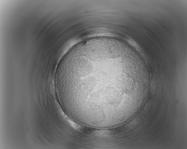 X0000080731282200612221243