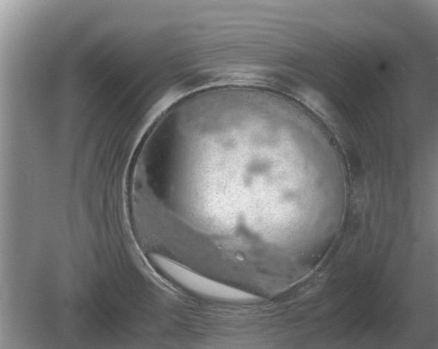 X0000080731283200612221243